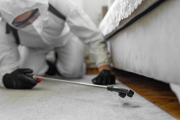 Professional Termite Control technician working in Boulder, CO